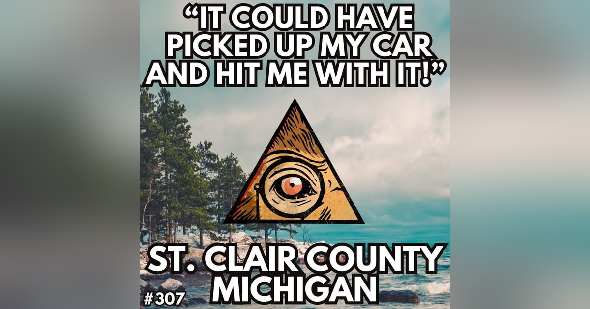 “This Creature was so Terrifying - He could have Picked up my Car and Hit Me with It” / St. Clair County, Michigan “This Creature was so Terrifying - He could have Picked up my Car and Hit Me with It” / St. Clair County, Michigan