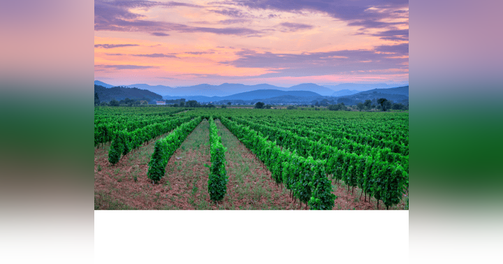 image for France 2024!