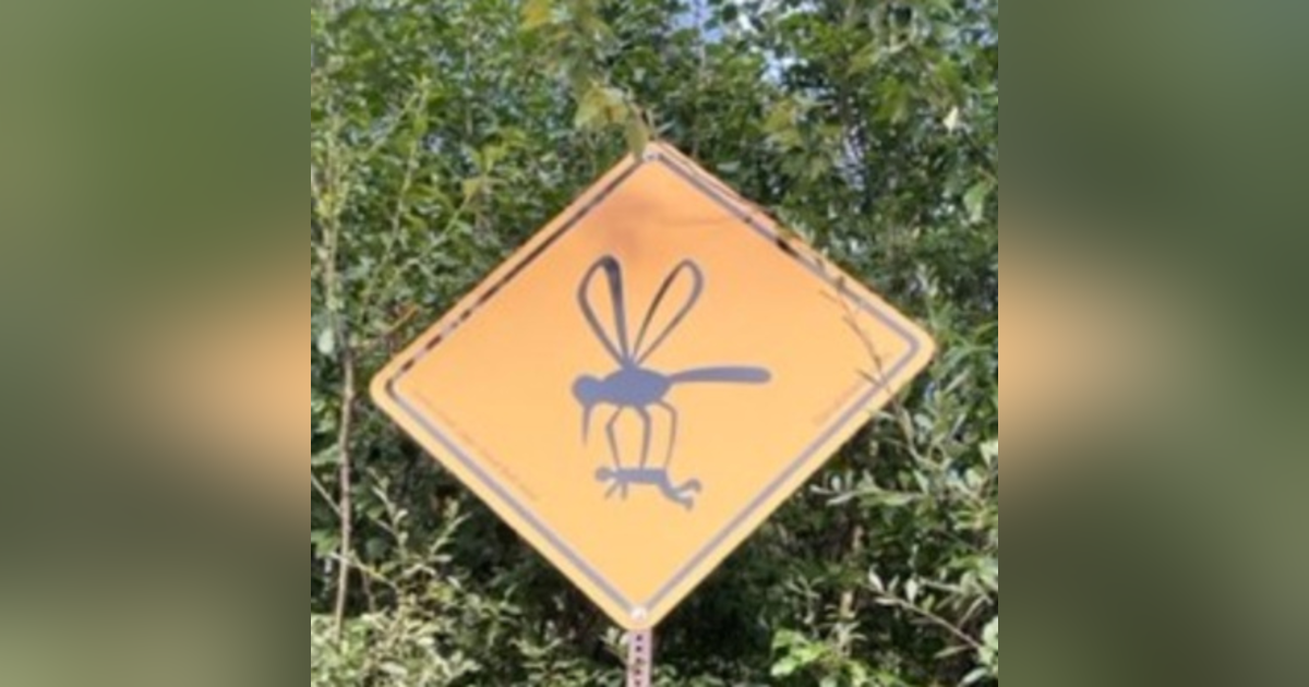 Tactics and strategies : Work ethic Tactics and strategies : Work ethic