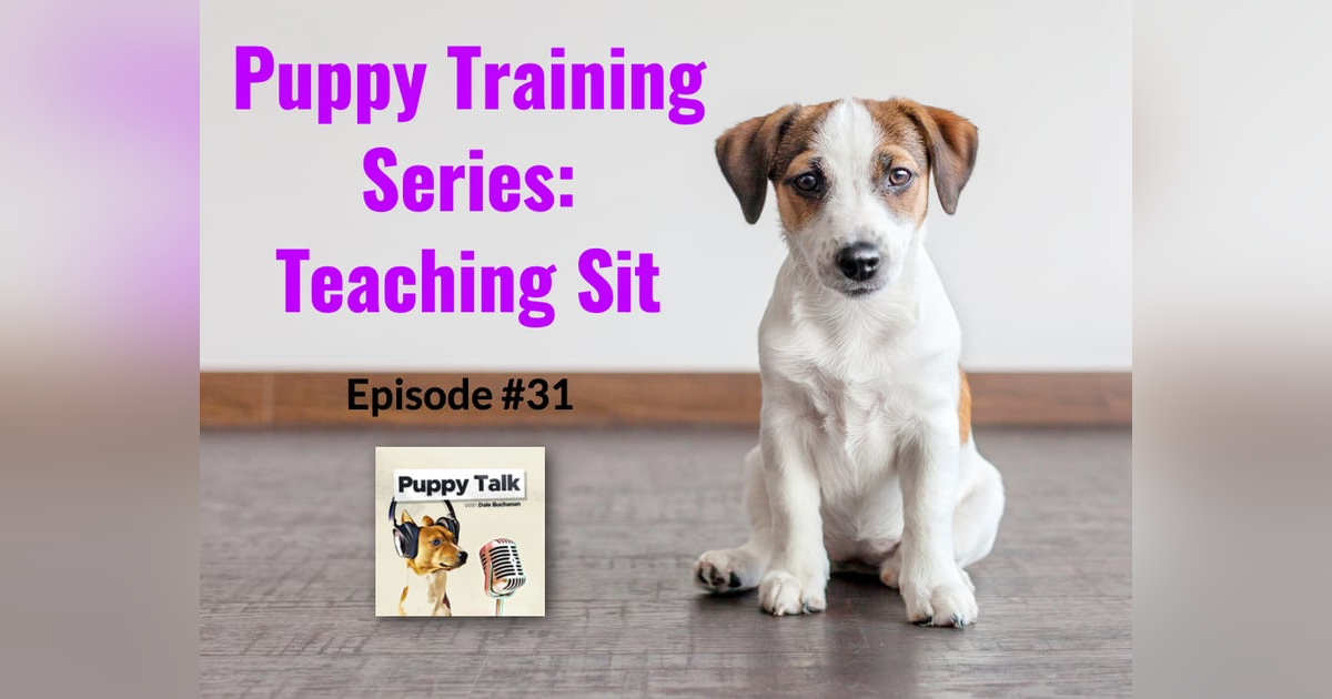 Puppy Training Series: Teaching Sit Puppy Training Series: Teaching Sit