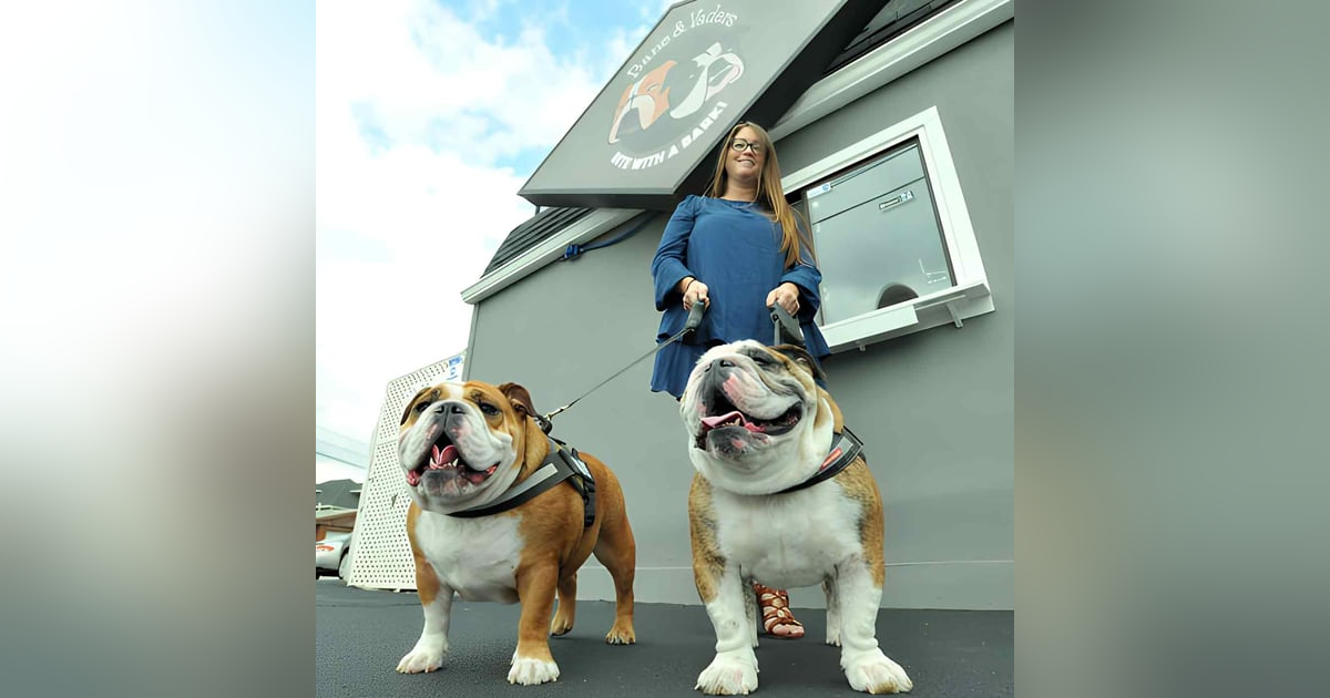 1309. America's First Doggie Drive-Thru - Microchips and Misconceptions - Stealing Drugs From Pets 1309. America's First Doggie Drive-Thru - Microchips and Misconceptions - Stealing Drugs From Pets