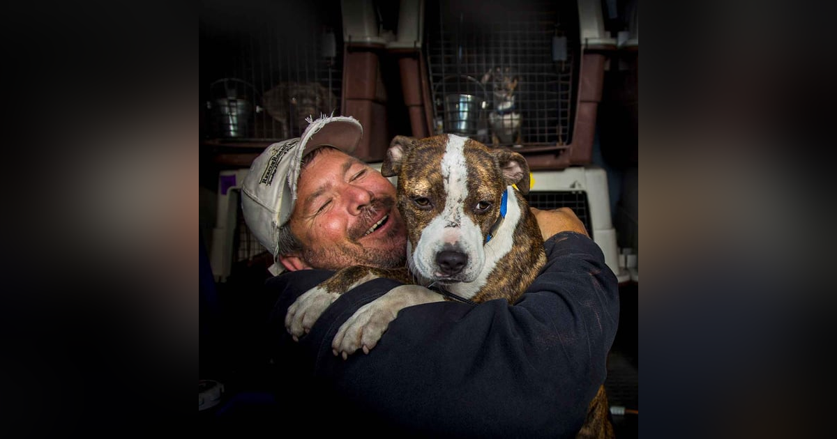 1288. Our 'Hero Person' Delivers Death Row Dogs To Adoptable Homes 1288. Our 'Hero Person' Delivers Death Row Dogs To Adoptable Homes