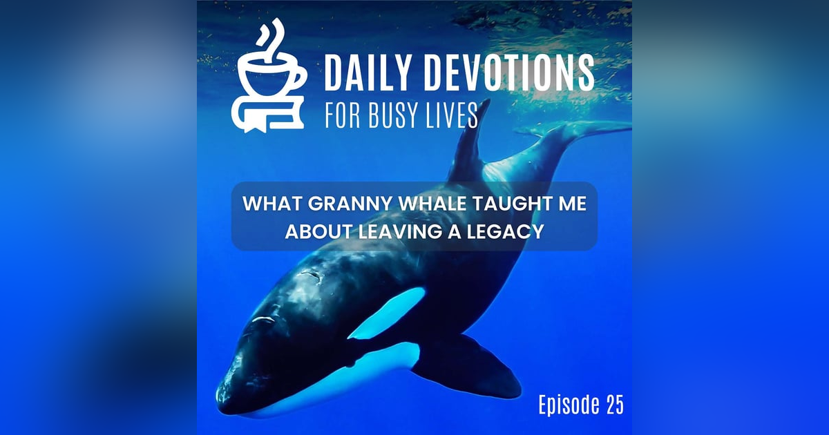 What Granny Whale Taught Me About Leaving a Legacy What Granny Whale Taught Me About Leaving a Legacy