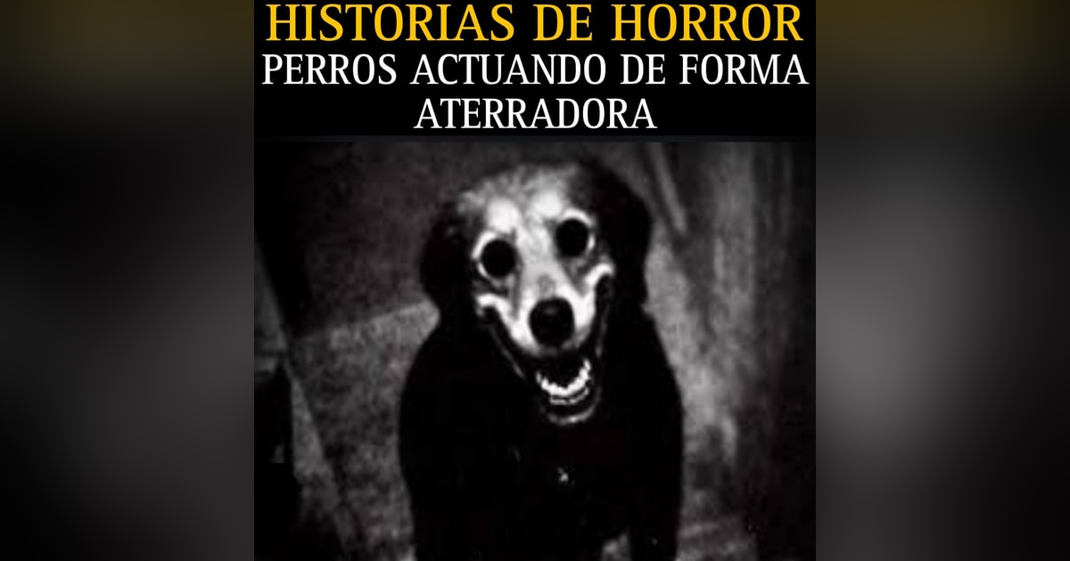 MEGA MARATON DE RELATOS DE PERROS ACTUANDO DE FORMA ATERRADORA / RELATOS PARA NO DORMIR / L.C.E. MEGA MARATON DE RELATOS DE PERROS ACTUANDO DE FORMA ATERRADORA / RELATOS PARA NO DORMIR / L.C.E.