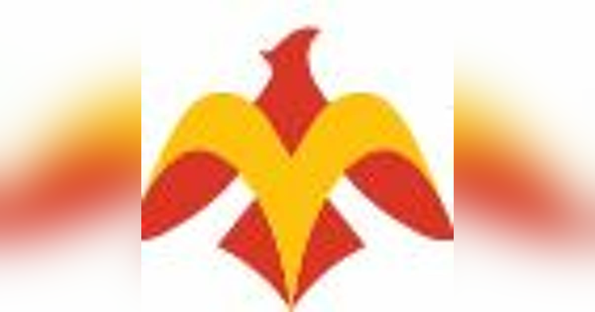 Phoenix Concussion Recovery - Episode 17 - POTS in Depth (with Kristina Hanson) Phoenix Concussion Recovery - Episode 17 - POTS in Depth (with Kristina Hanson)