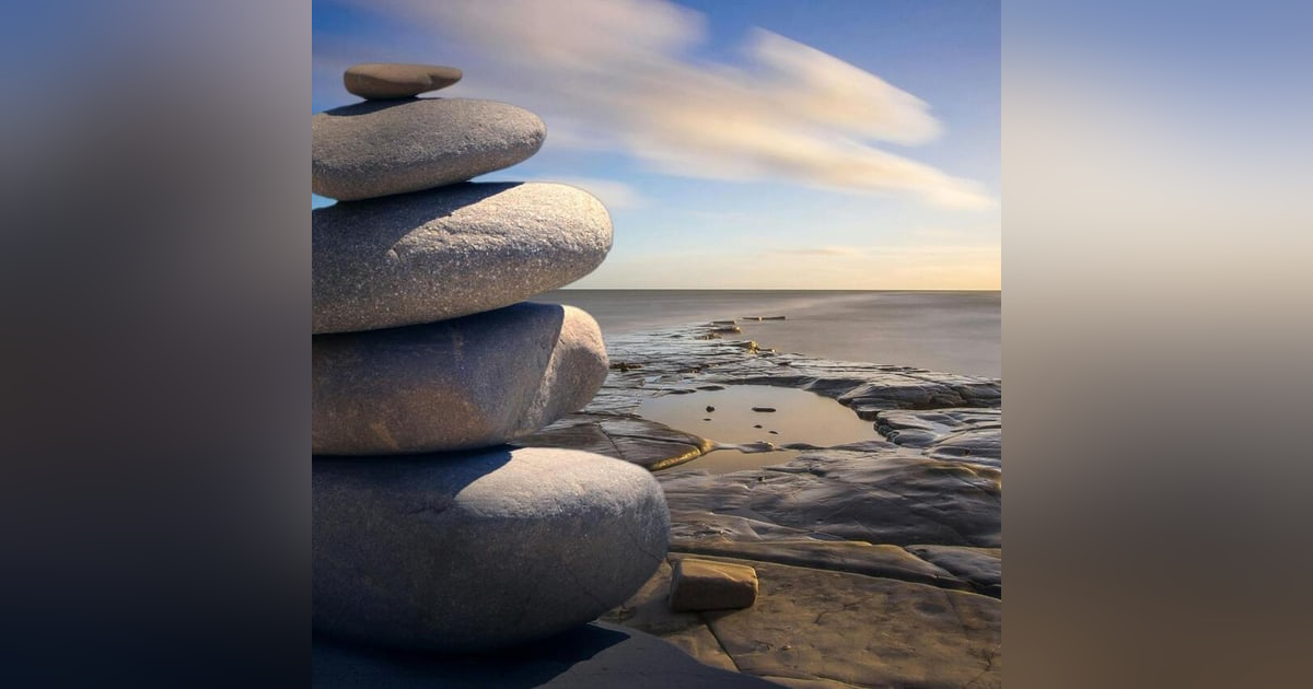 The Mindful Body The Mindful Body