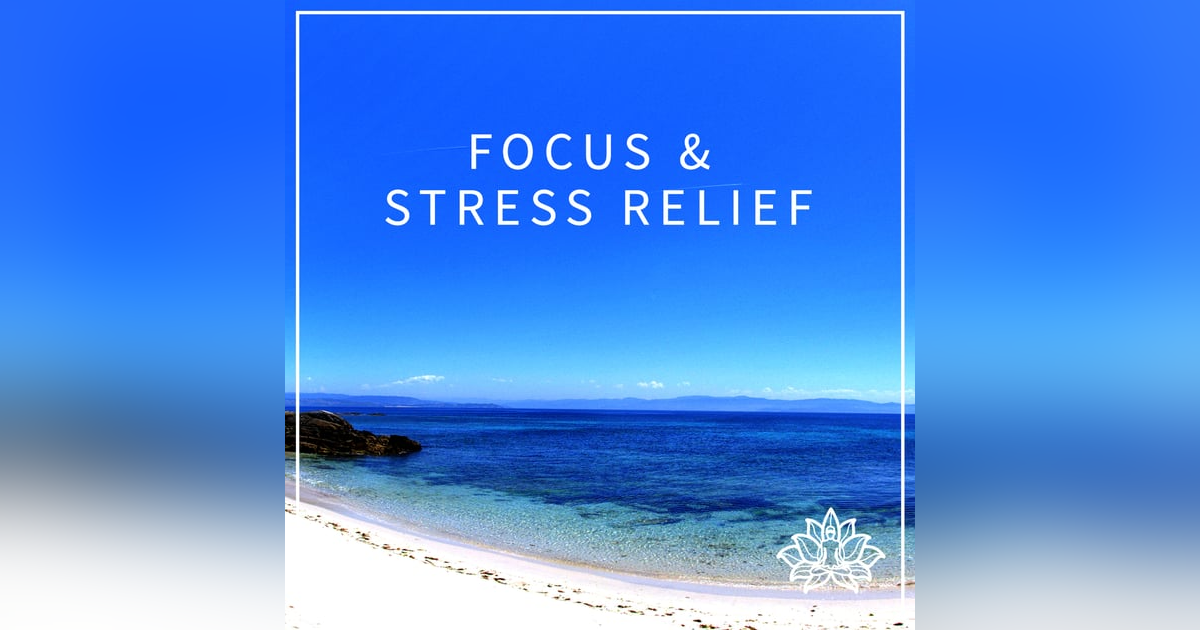 #2 FOCUS & STRESS RELIEF - 15 MINUTE IMMERSIVE GUIDED MEDITATION π #2 FOCUS & STRESS RELIEF - 15 MINUTE IMMERSIVE GUIDED MEDITATION π