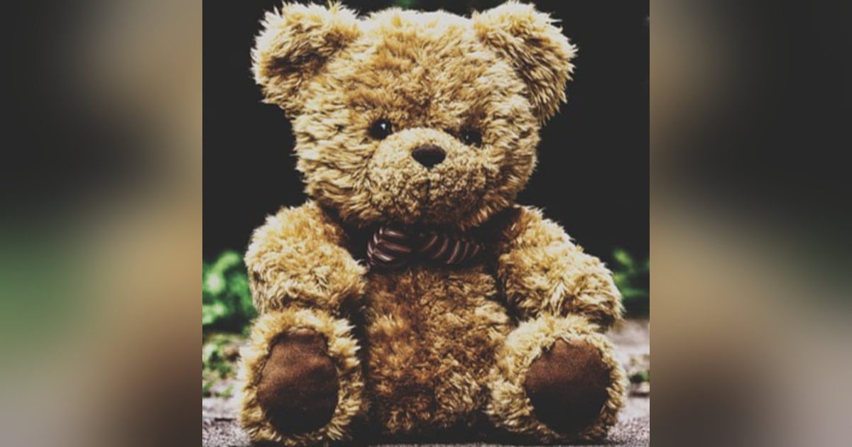 The Teddy Bear Coder Part 1: Jack and Teddy The Teddy Bear Coder Part 1: Jack and Teddy