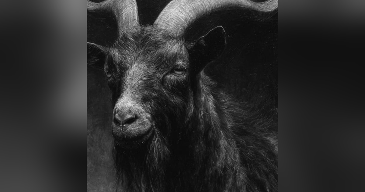 Desenterramos Un ANIMAL Con BRUJERÍA Historias De Terror - REDE Desenterramos Un ANIMAL Con BRUJERÍA Historias De Terror - REDE