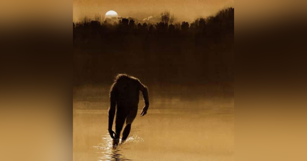 Boggy Creek Casebook: Fouke Monster Encounters 1908 to Present Boggy Creek Casebook: Fouke Monster Encounters 1908 to Present