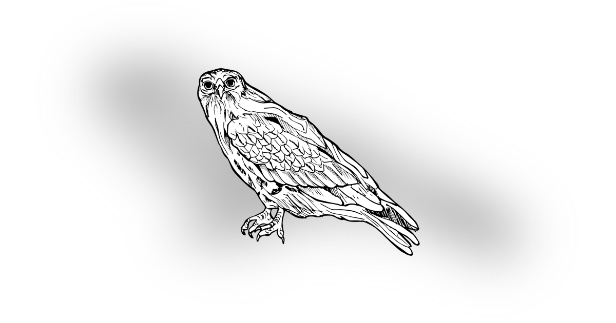 The Buzzard The Buzzard