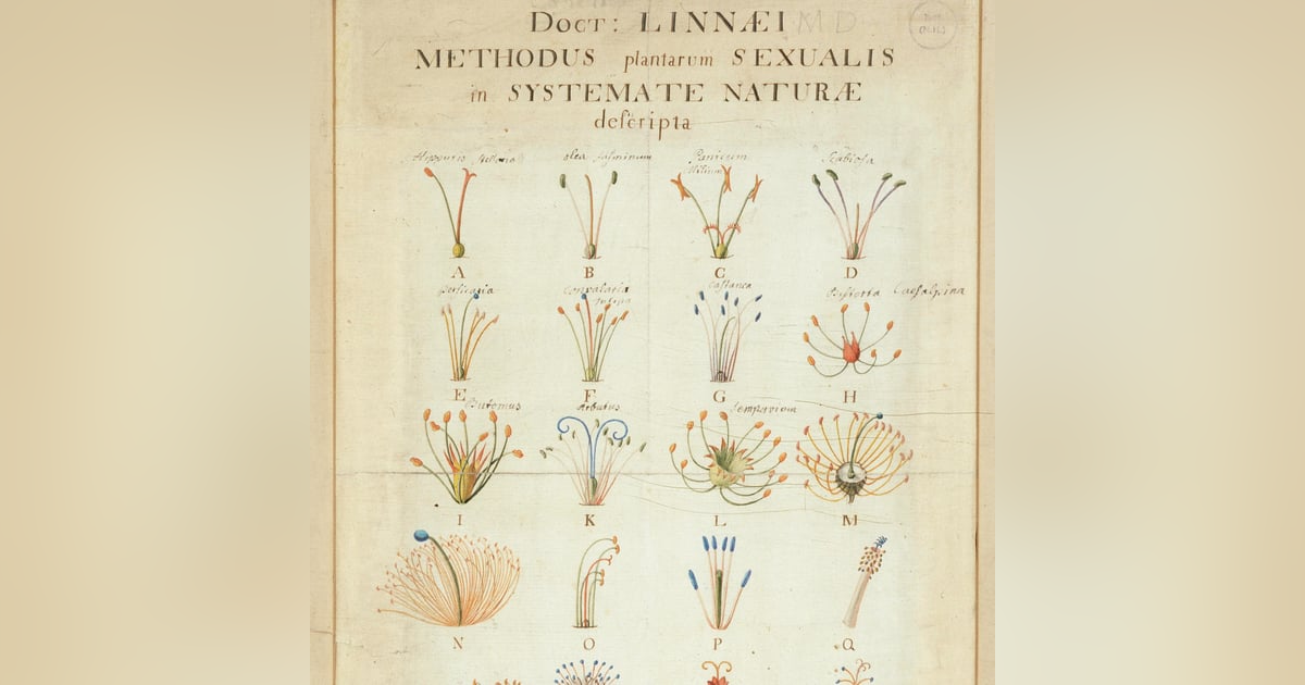 The Beauty of Botanicals with Michael Craig The Beauty of Botanicals with Michael Craig