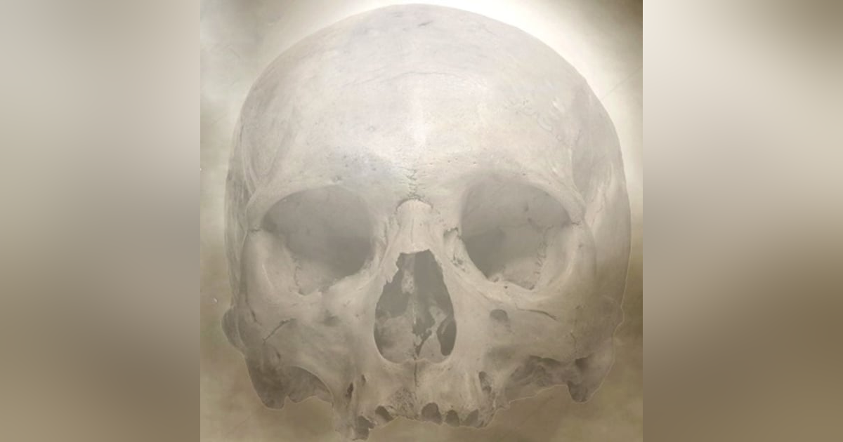 Pilares Humanos Historias De Terror - REDE Pilares Humanos Historias De Terror - REDE