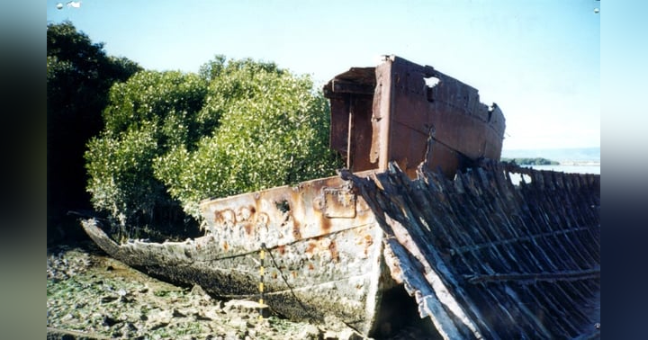 image for Ship Graveyards: Mallows Bay and Beyond