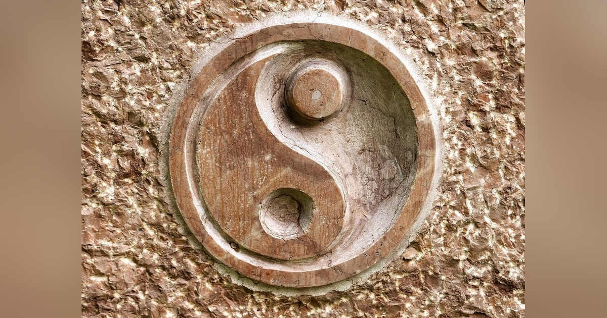 Episode 4 - Interdependence Episode 4 - Interdependence