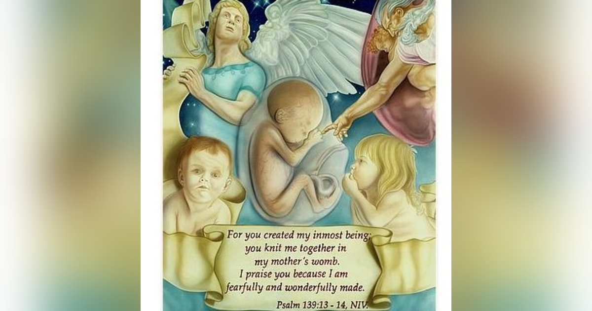 9 Day Sanctity of Life Novena Day 09 9 Day Sanctity of Life Novena Day 09