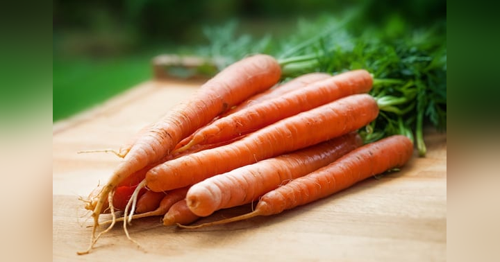 image for Parshas Tetzaveh - Do I Look Like a Carrot?