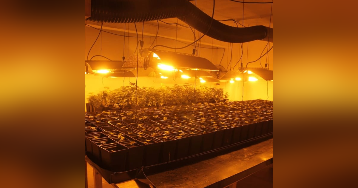 Reportajes en Es la Mañana: Vivir en Sevilla Reportajes en Es la Mañana: Vivir en Sevilla