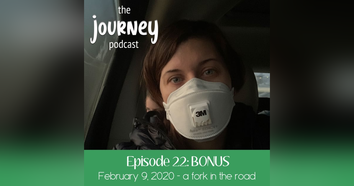 22: BONUS - Carey reflects on Feb 9, 2020 - a fork in the road 22: BONUS - Carey reflects on Feb 9, 2020 - a fork in the road