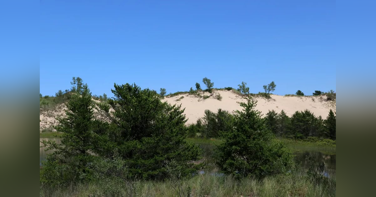 Do you know about the mysteries of Shaman's Portal? Do you know about the mysteries of Shaman's Portal?