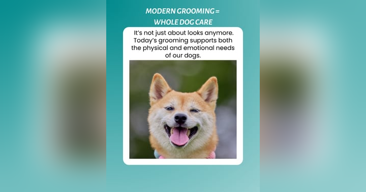 image for Modern Pet Grooming: Prioritizing Pets' Physical and Emotional Well-being