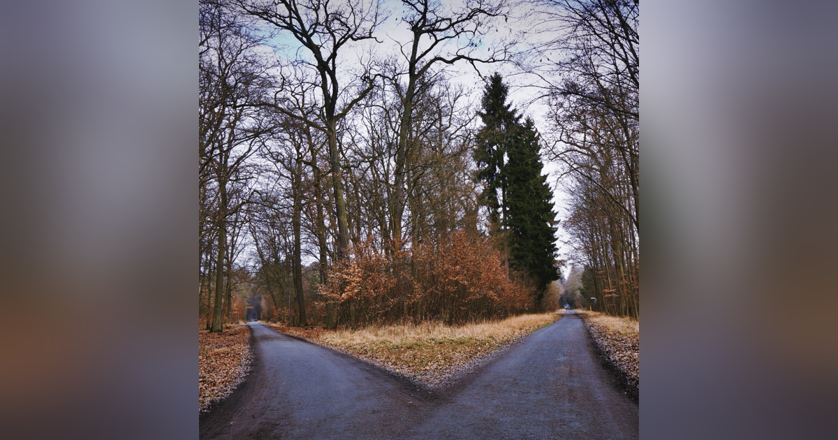 Breaking the Rules: How Multi-Genre Writing Can Set You Apart Breaking the Rules: How Multi-Genre Writing Can Set You Apart