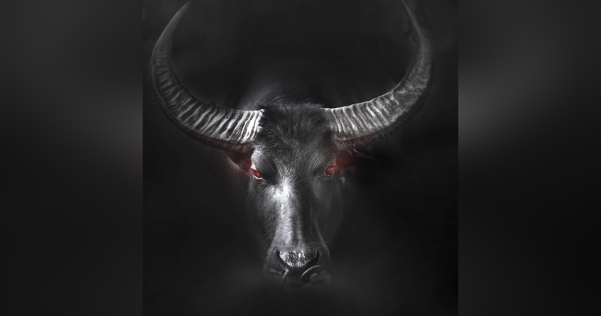 Ep.149 – By the Horns - These Cows are Hungry... FOR YOU! Ep.149 – By the Horns - These Cows are Hungry... FOR YOU!