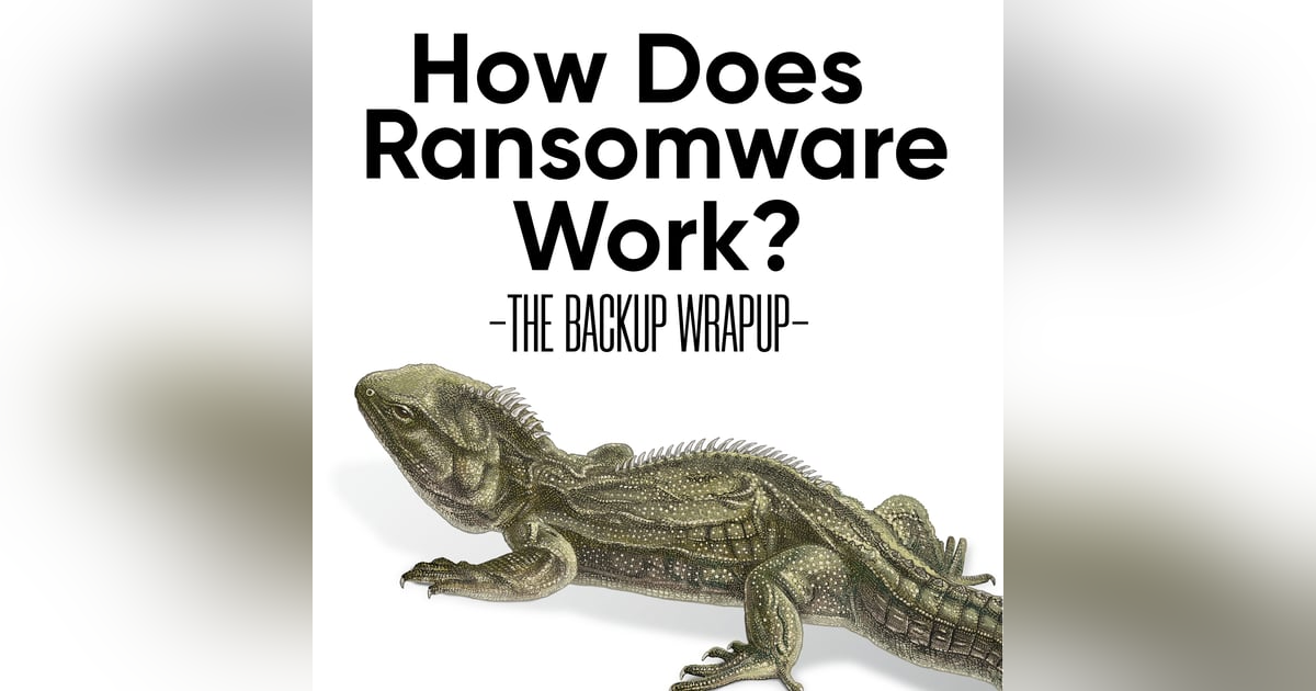 How Ransomware Works: The Five Objectives of Every Attack How Ransomware Works: The Five Objectives of Every Attack