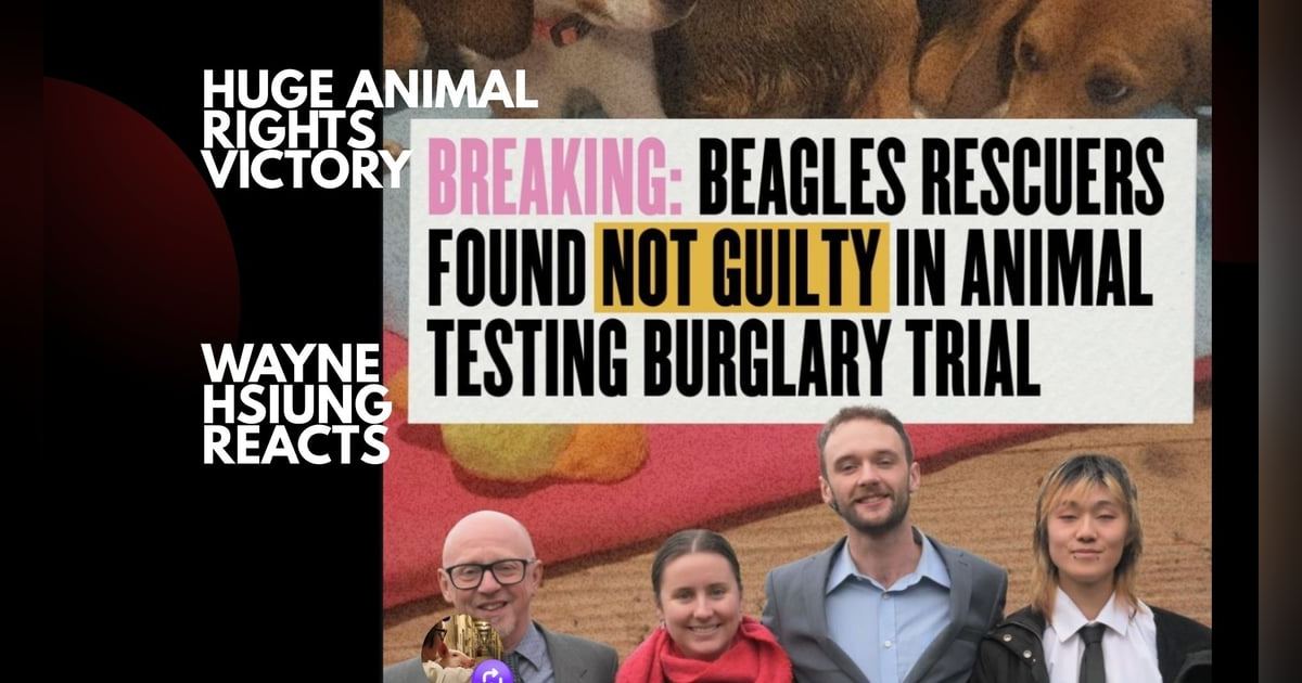 Puppy Justice Wins! -- Beagle Rescuers NOT GUILTY Puppy Justice Wins! -- Beagle Rescuers NOT GUILTY