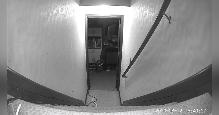 image for Randy's video from episode 50