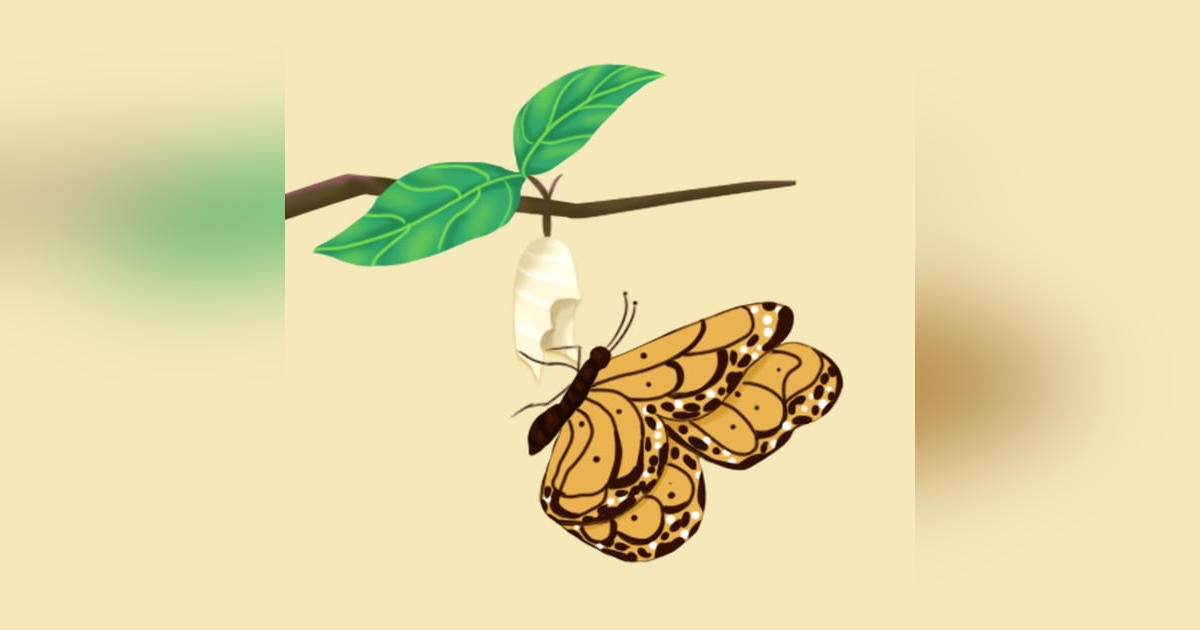 The Education of a Value Investor Book summary My Transformative Quest for Wealth, Wisdom, and Enlightenment The Education of a Value Investor Book summary My Transformative Quest for Wealth, Wisdom, and Enlightenment