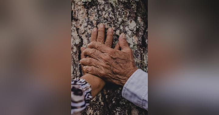 image for Love That Lasts: What the Bible Teaches About Healthy Relationships