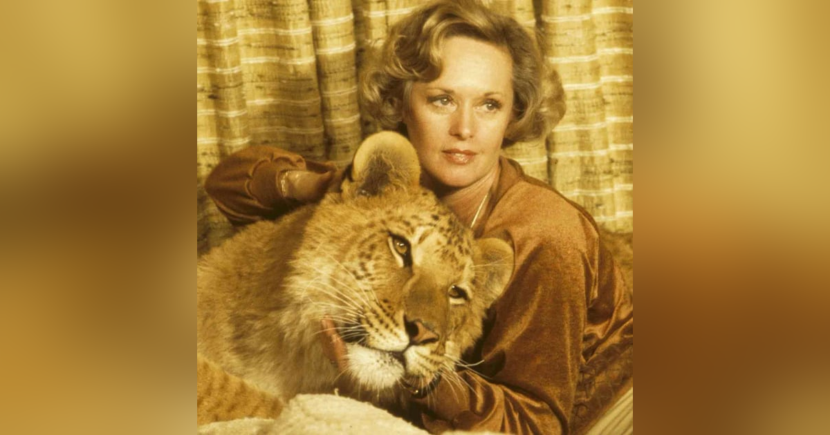 1263. Actress Tippi Hedren Talks About The Lions, Tigers And Ligers That Share Her Home. 1263. Actress Tippi Hedren Talks About The Lions, Tigers And Ligers That Share Her Home.