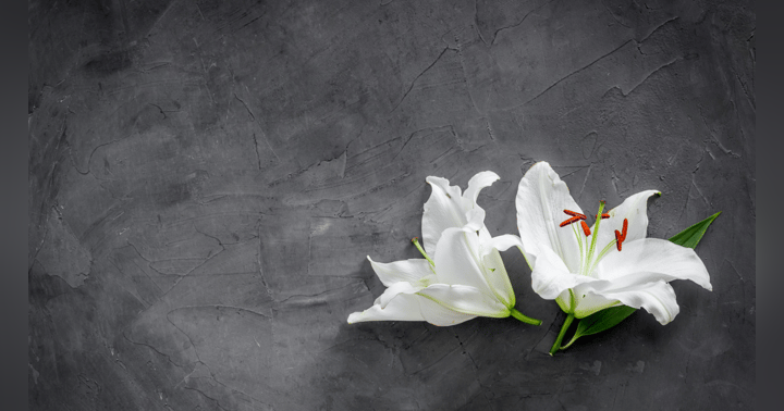 image for Finding Strength in Words: How Affirmations Can Support Your Grief Journey