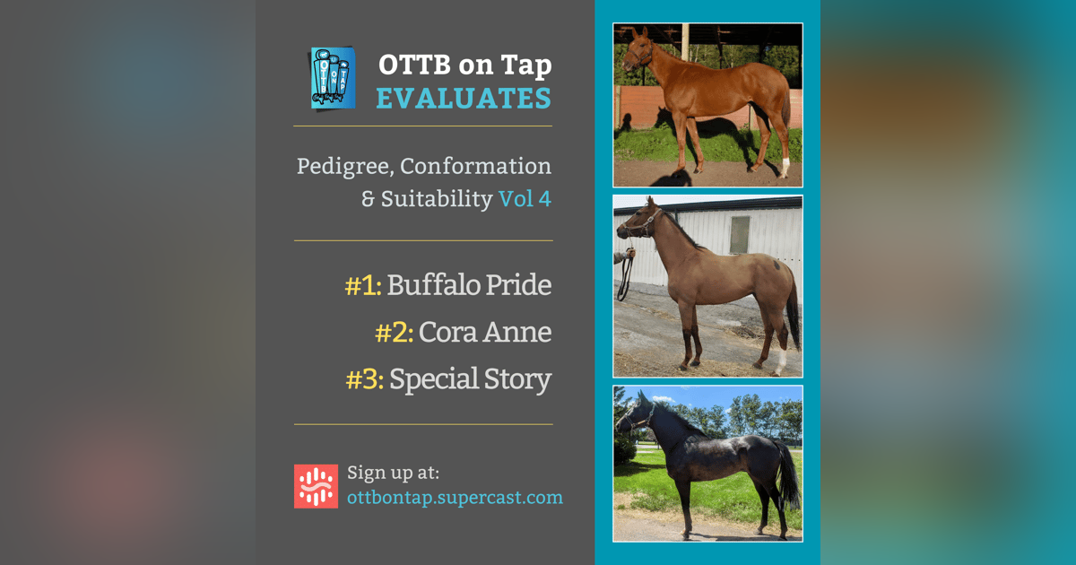 Sneak Peek: OTTB on Tap Evaluates Vol. 4: From Lightly Raced to Warhorses—Exploring Pedigree & Potential Sneak Peek: OTTB on Tap Evaluates Vol. 4: From Lightly Raced to Warhorses—Exploring Pedigree & Potential