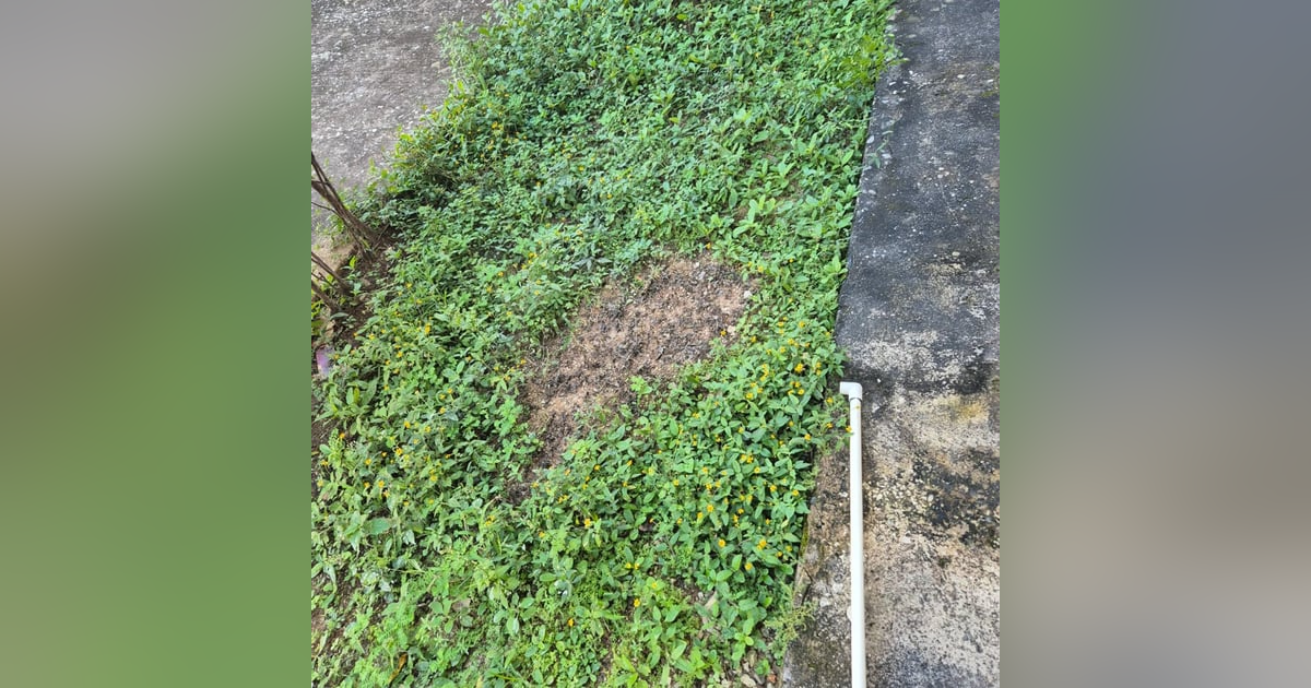 Historias de Miedo Febrero 9 de 2025 MIEDO EN DOMINGO Historias de Miedo Febrero 9 de 2025 MIEDO EN DOMINGO