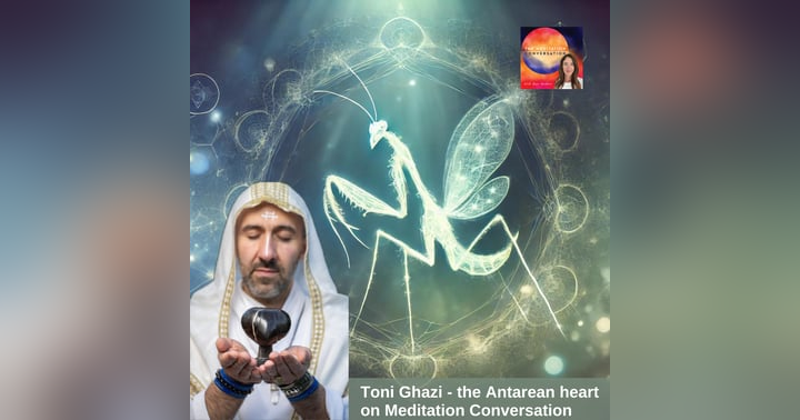 image for Footage of UFOs & Orbs:Making the Unseen Seen - Toni Ghazi