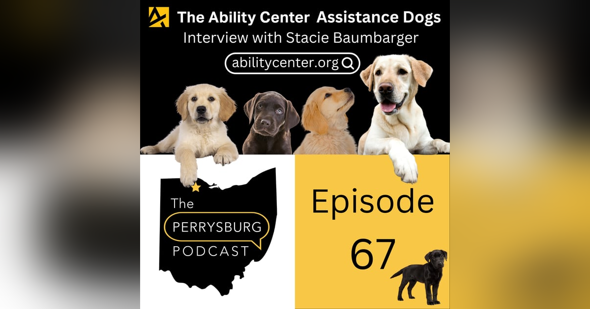 The Ability Center Assistance Dogs - Interview with Stacie Baumbarger The Ability Center Assistance Dogs - Interview with Stacie Baumbarger