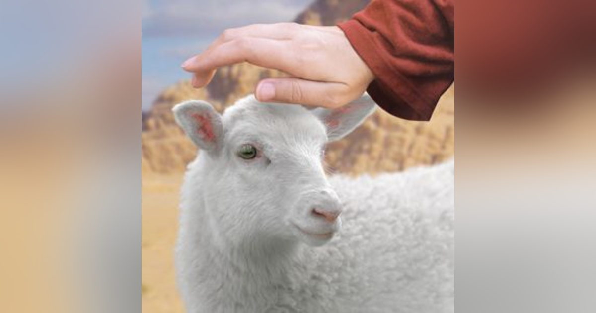 If God is Our Shepherd, Do we Have Free Will? + What it Means that He Prepares a Table in the Presence of Our Enemies. Reading Psalm 23 #210 If God is Our Shepherd, Do we Have Free Will? + What it Means that He Prepares a Table in the Presence of Our Enemies. Reading Psalm 23 #210