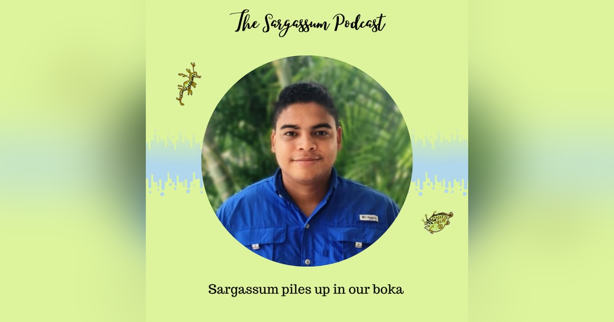 Episode 8: Impact of Sargassum on Curaçao’s Bokas with Javier Diaz Episode 8: Impact of Sargassum on Curaçao’s Bokas with Javier Diaz