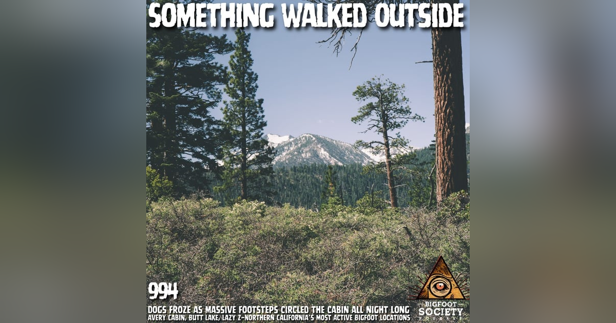 Something Stalked a Remote Avery, California Cabin While Two Dogs Froze in Terror Something Stalked a Remote Avery, California Cabin While Two Dogs Froze in Terror