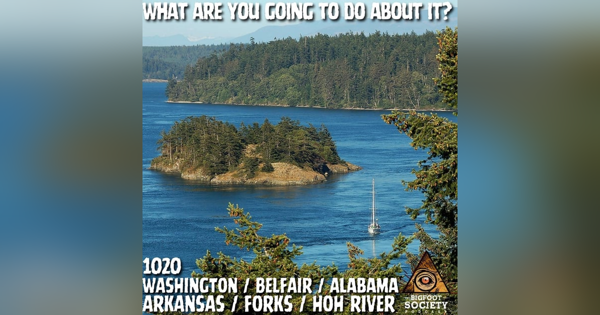 A Scream Shattered the Window — And That Was Just the Beginning A Scream Shattered the Window — And That Was Just the Beginning