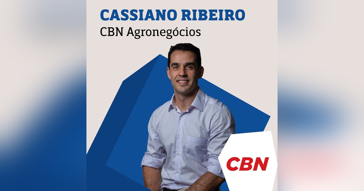 Entenda o motivo da alta nos preços dos ovos, do azeite, da cebola e da batata Entenda o motivo da alta nos preços dos ovos, do azeite, da cebola e da batata