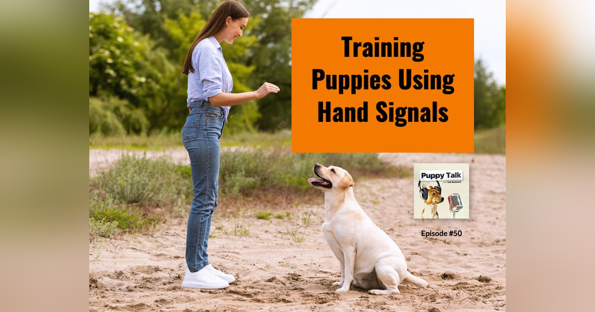 Training Puppies Using Hand Signals Training Puppies Using Hand Signals