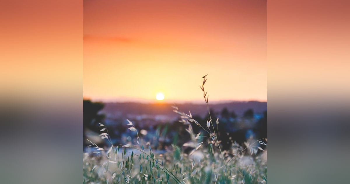 #228 Remember Tomorrow #228 Remember Tomorrow