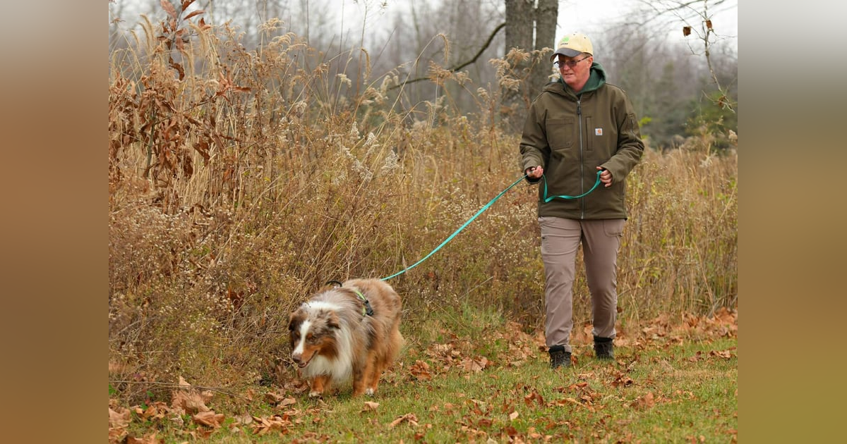 Instinct at Work: Australian Shepherds with a Job That Matters Instinct at Work: Australian Shepherds with a Job That Matters
