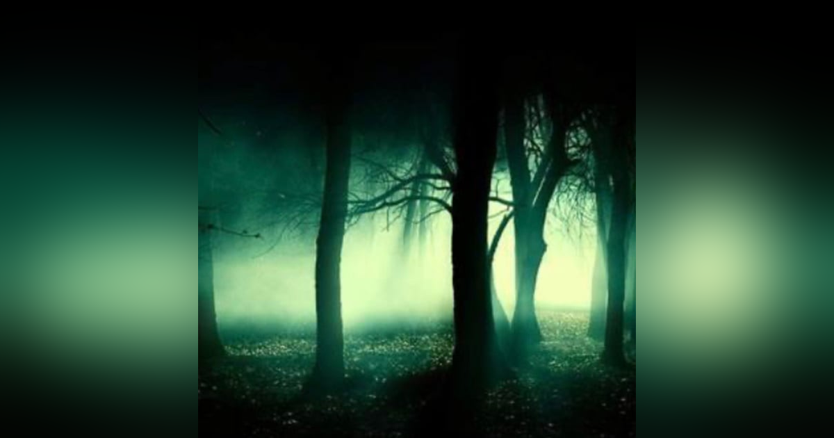 Beyond the Dark Paranormal with Don and Kelly Johnson Beyond the Dark Paranormal with Don and Kelly Johnson