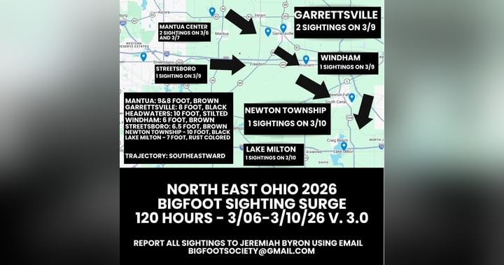 image for THE OHIO BIGFOOT FLAP
