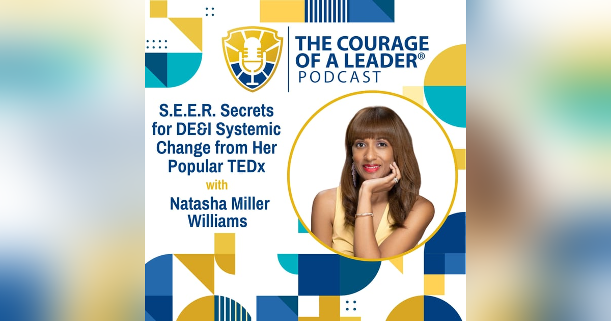 S.E.E.R. Secrets for DE&I Systemic Change from Her Popular TEDx | Natasha Miller Williams S.E.E.R. Secrets for DE&I Systemic Change from Her Popular TEDx | Natasha Miller Williams