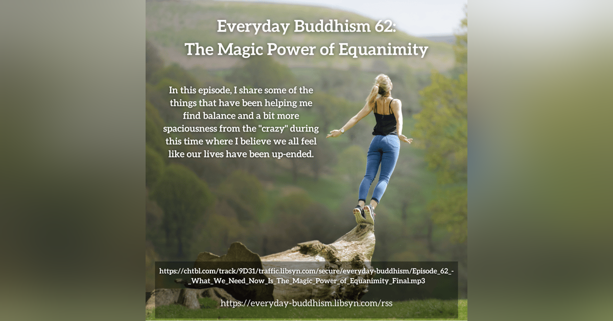 Everyday Buddhism 62 - The Magic Power of Equanimity Everyday Buddhism 62 - The Magic Power of Equanimity